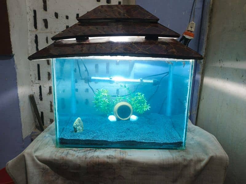 1.5 ft aquarium for sale 2