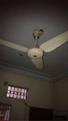 Electric Fan