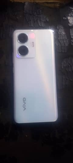 Vivo y55 official pta aproved 8/128