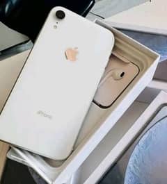 iPhone XR 256GB PTA Approved