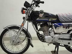 Honda 125 2023/24 Model Special Edition