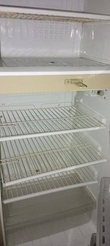 fridge 1