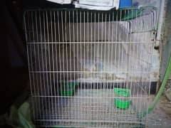 cage good condition