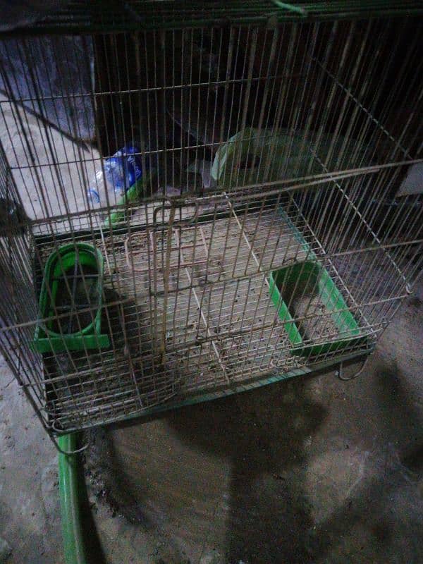 cage in good condition. 1