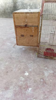 birds cage for sale with box cn 03006373965