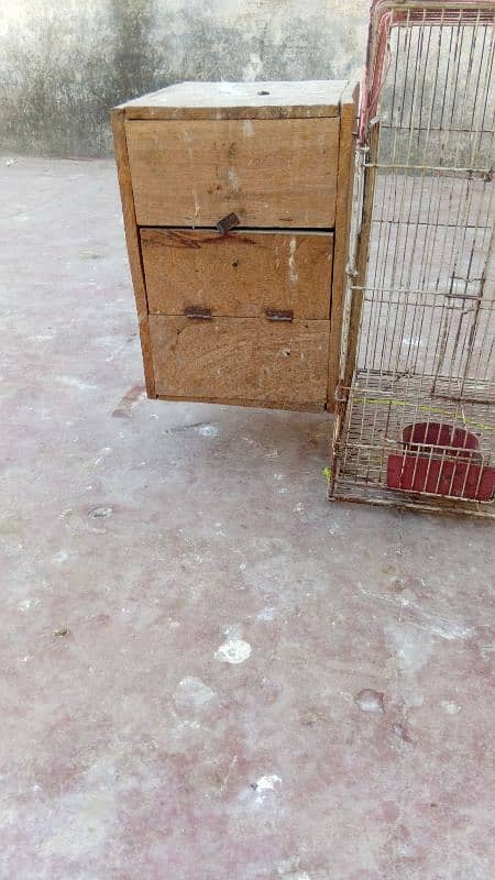 birds cage for sale with box cn 03006373965 0