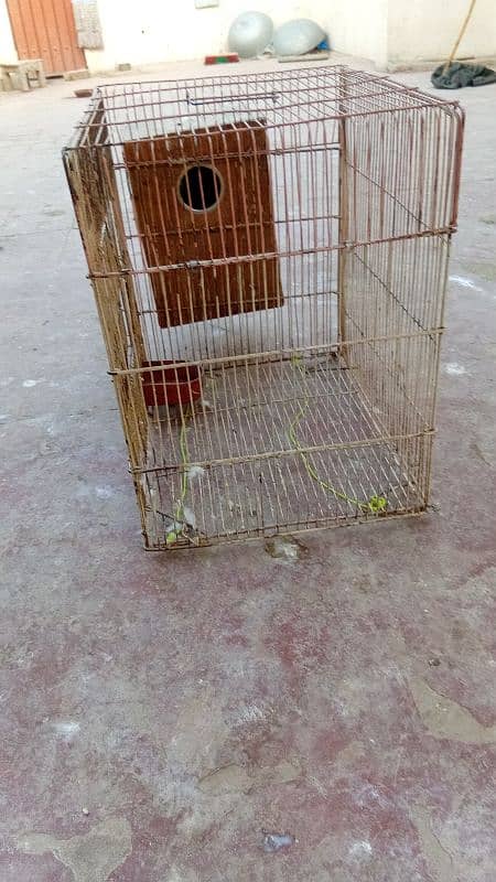 birds cage for sale with box cn 03006373965 3