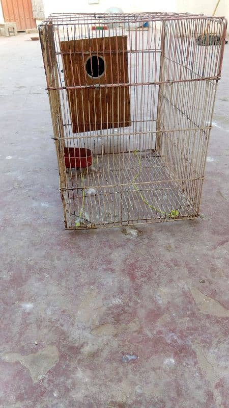 birds cage for sale with box cn 03006373965 4