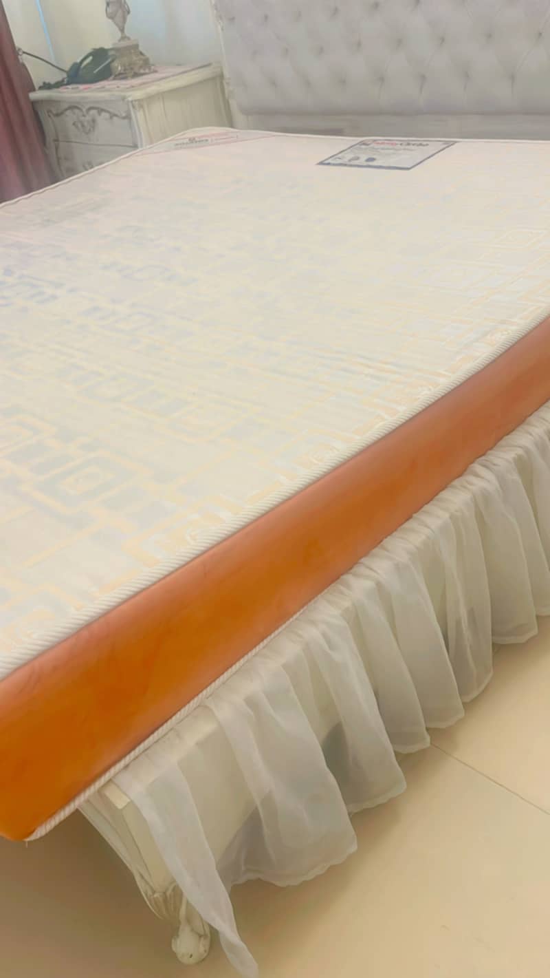 Molty Foam Ortho 8" mattress 1