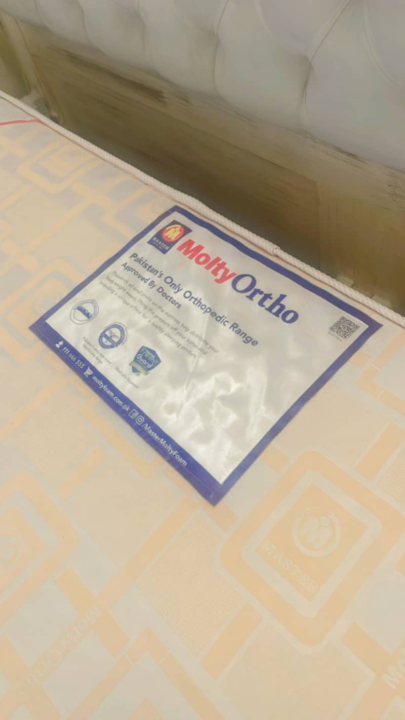 Molty Foam Ortho 8" mattress 2