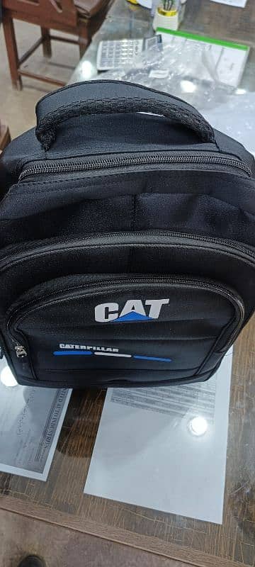 Cat bag 2