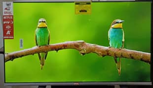 ORIAL LED_TV 43 Inches.