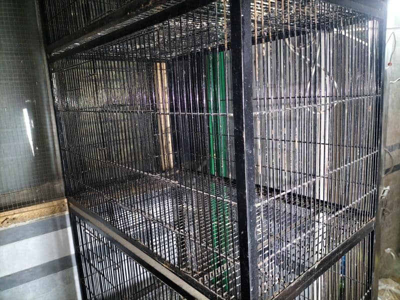 bird  cage 0