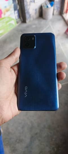 Vivo