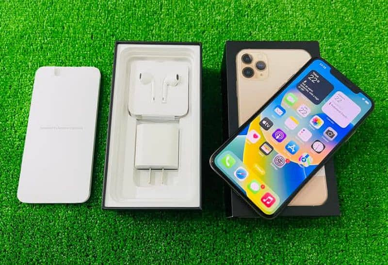 iphone 11 Pro Max 256 GB 2