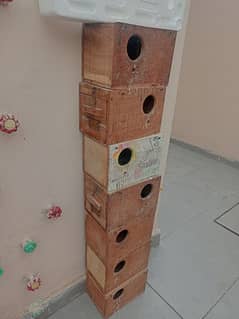 love bird breeding boxes for sale in lahore