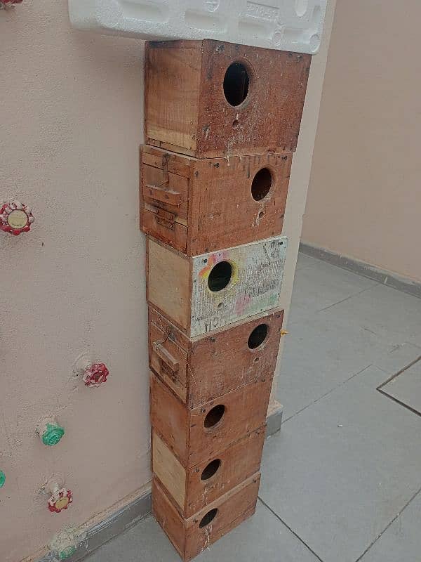 love bird breeding boxes for sale in lahore 0