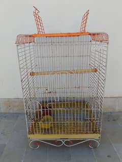 cage and birds for sale