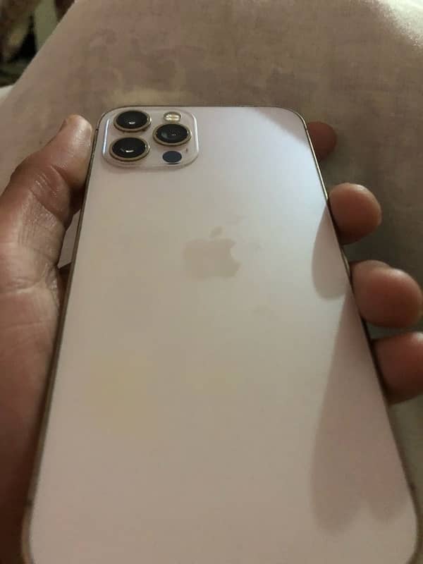 iphone 12 PRO 256GB non pta 0