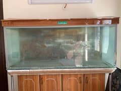 FISH AQUARIUM AVAILABLE FOR SALE WITH AQUARIUM TABLE