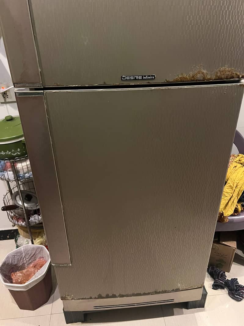 Pel Desire infinite refrigerator (fridge) 3