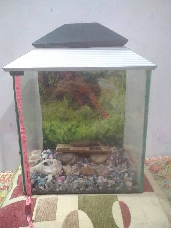 good condition medium size aquarium for sale 2