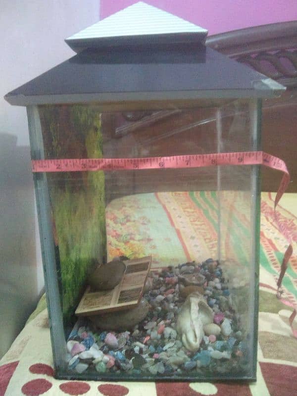 good condition medium size aquarium for sale 3