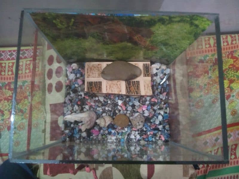 good condition medium size aquarium for sale 5