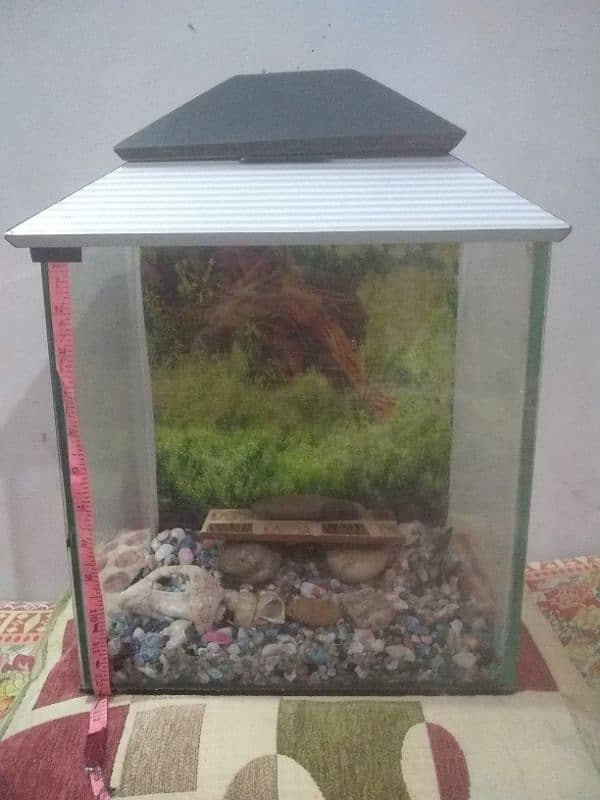 good condition medium size aquarium for sale 6