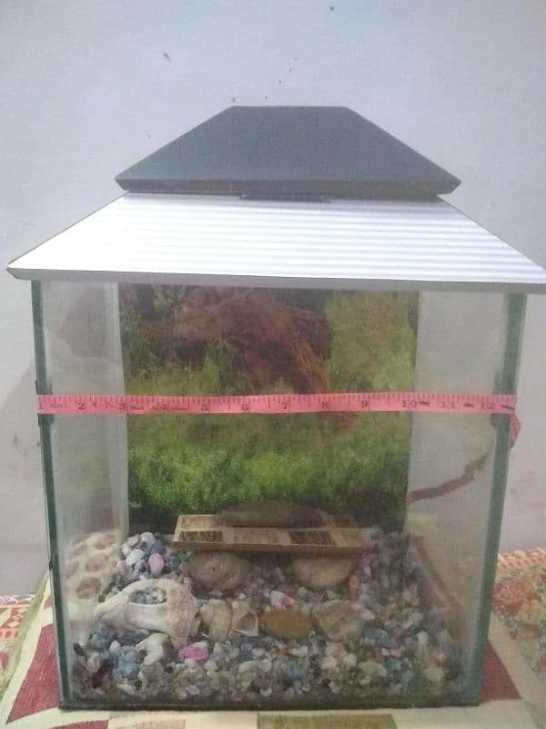 good condition medium size aquarium for sale 7