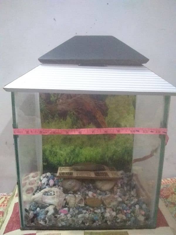 good condition medium size aquarium for sale 8