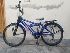 sumac new cycle for sale