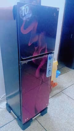 Pel Fridge In New Condition with 10 Year Warranty