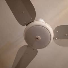 2 fans white colour only 1 year used same colour