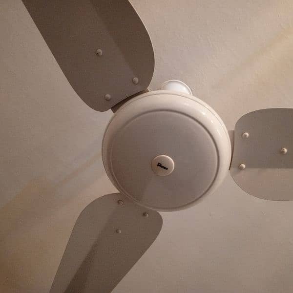 2 fans white colour only 1 year used same colour 0