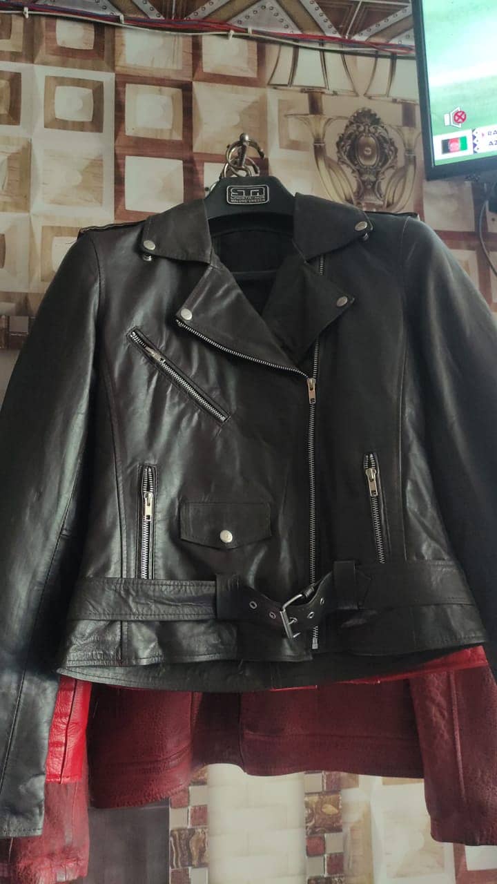 Leather Jacket 1