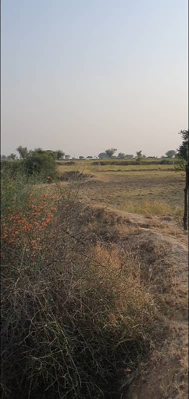 700 Kanal Agricultural Land For Sale In Balksar 3