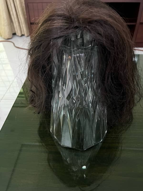 Real Human Hair Wig - Female 1