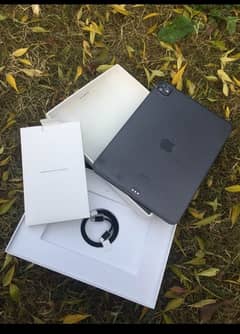 Ipad M4 pro 256 GB/0316,6281100