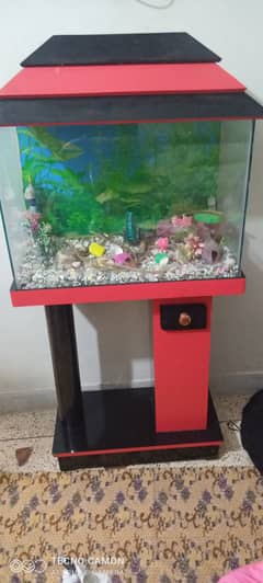 Fish Aquarium 2 feet  , 3 feet