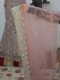 walima maxi