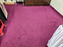 Room Carpet