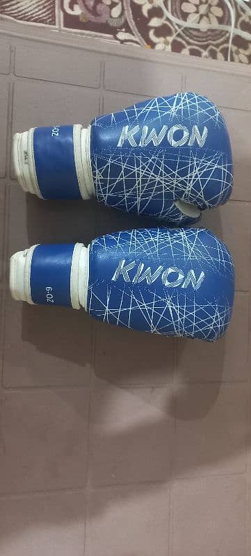 Original kwon hungary boxing gloves for sale 1