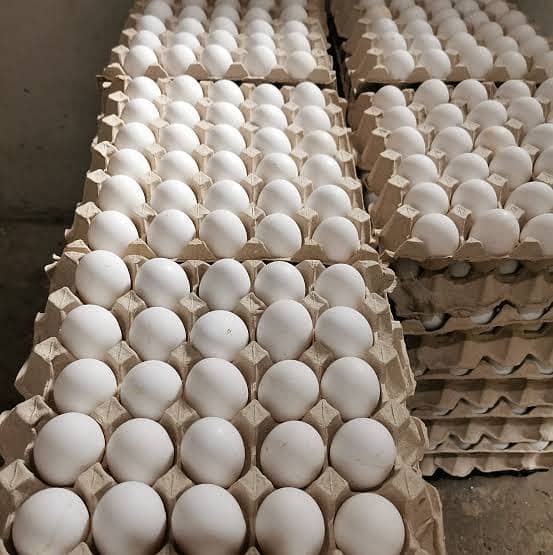 Eggs for sale. Price market Sy km . 03269730232 1