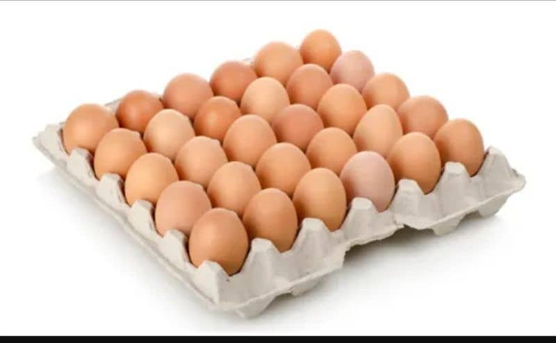 Desi eggs Lohman Brown eggs for sale 0333 60 78 525 0