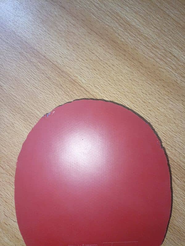 Nittaku Factive Table Tennis Rubber 1