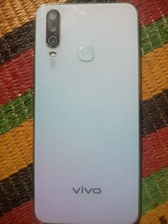 vivo