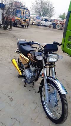 Honda 125 Gold edition