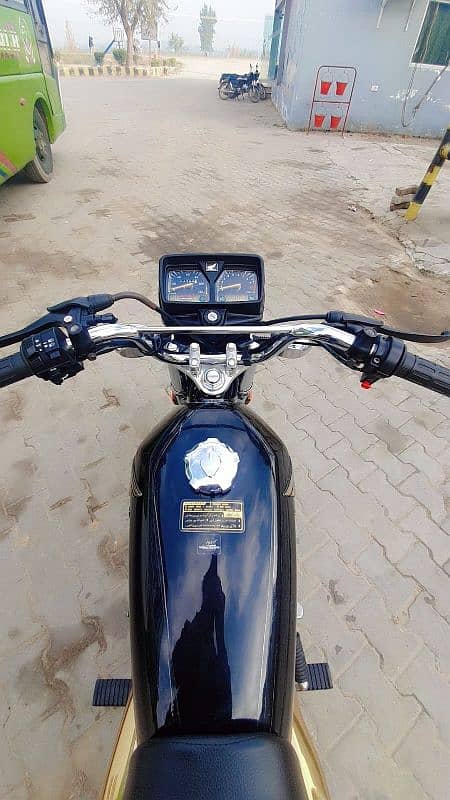 Honda 125 Gold edition 7