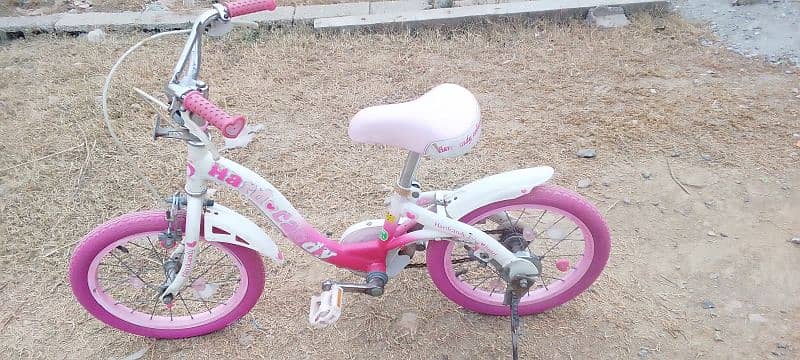 girls bicycle 1